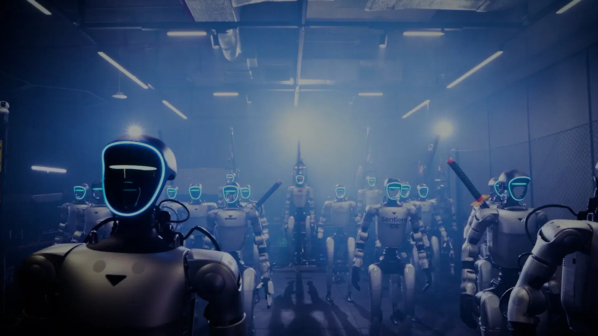 Embodied AI Accelerator
